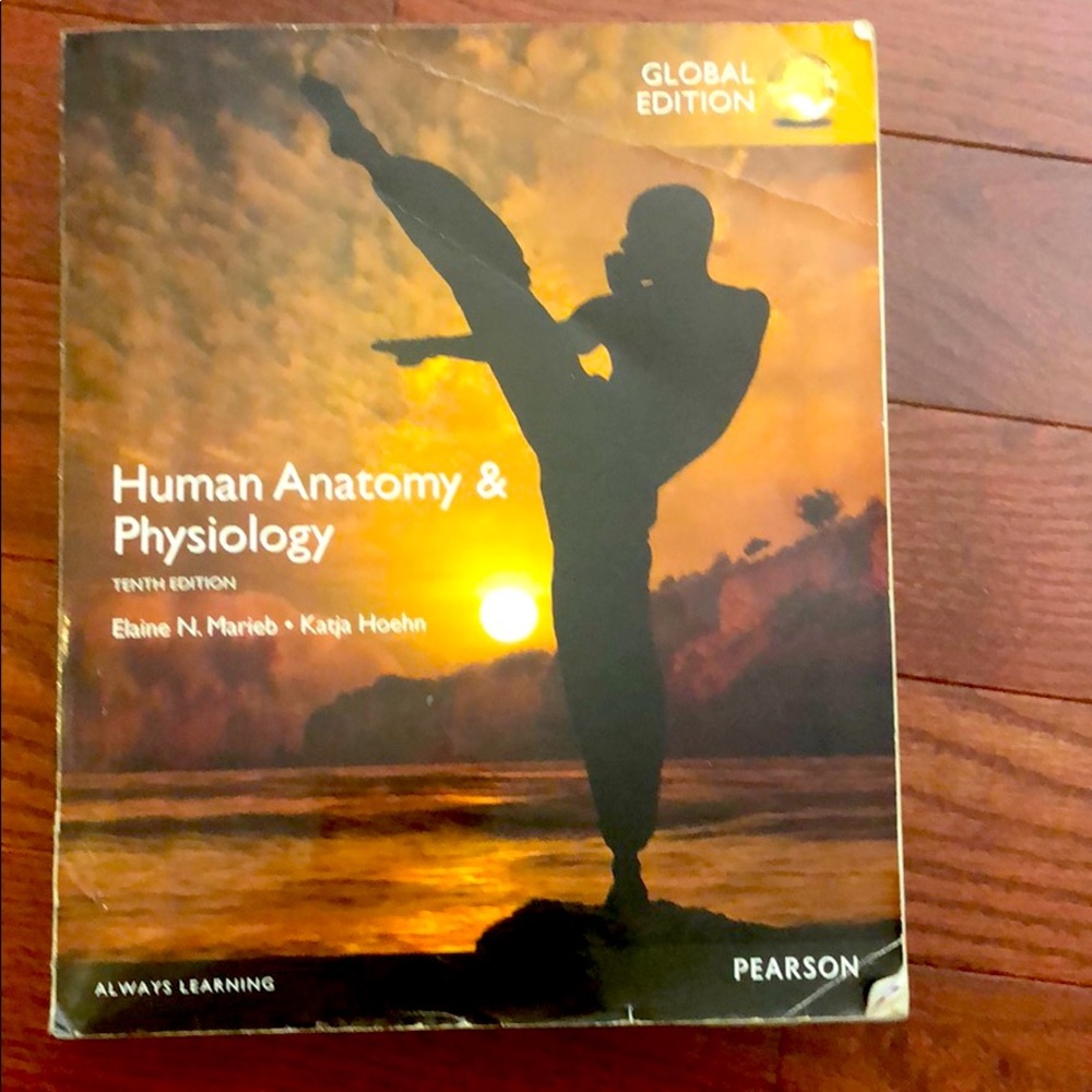 Human anatomy and physiology tenth edition Pearson